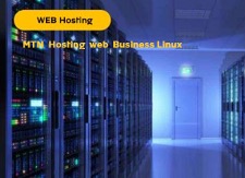 MTN Web Hosting Business (Linux)